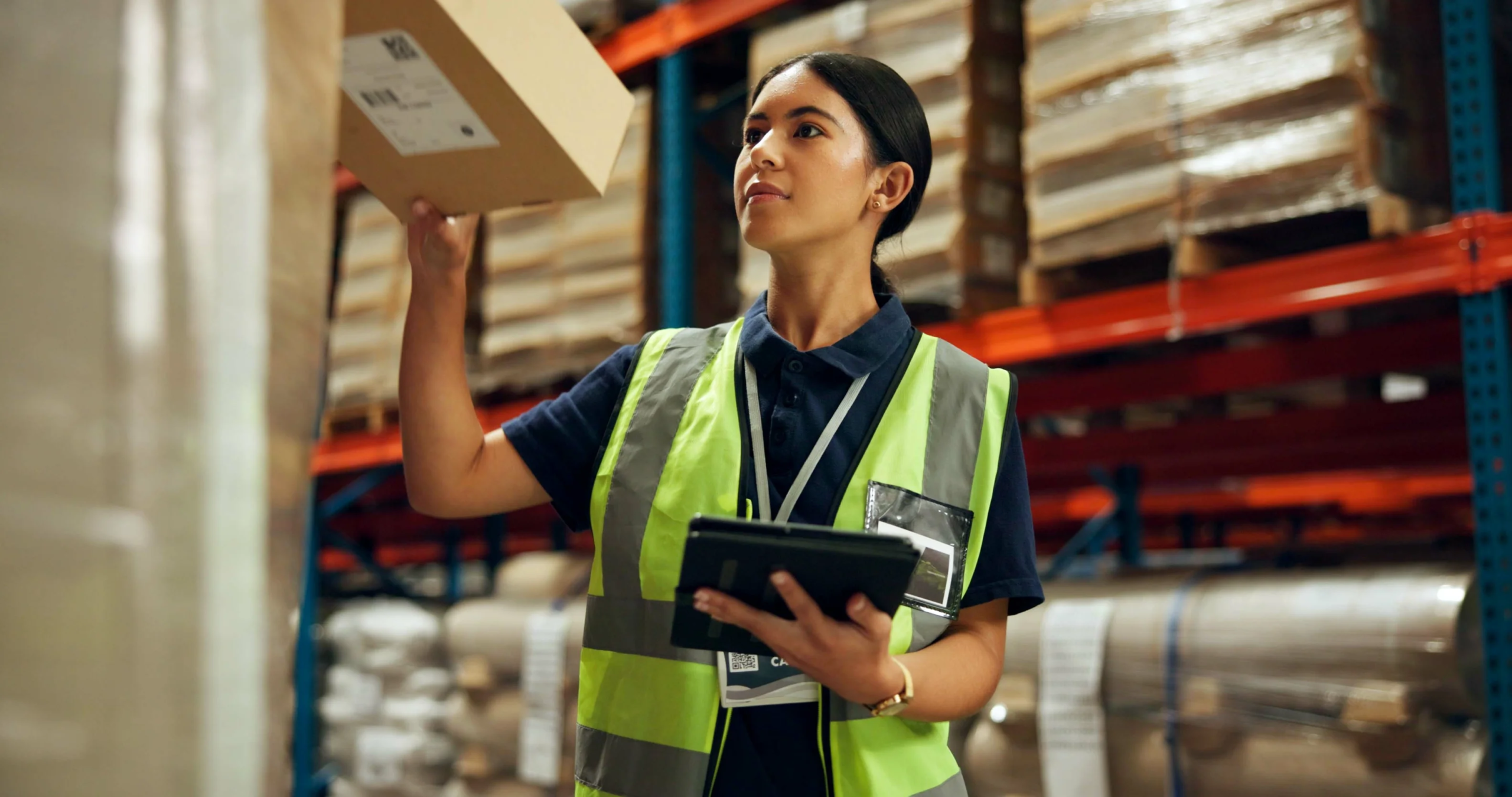 Worker scanning warehouse box